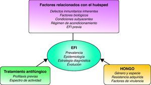 Factores relacionados en la producción de una EFI.
