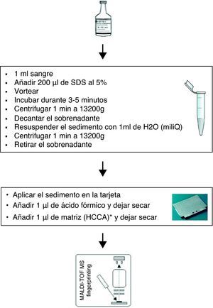 Procedimiento esquematizado de MALDI-TOF directo de hemocultivo. * HCCA: alfa-cyano-4-ácido hidroxicinámico.