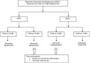 Algoritmo propuesto para el diagnóstico de la infección por Clostridium difficile.