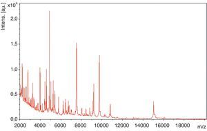 Espectro del MALDI-TOF para la identificación de Actinobaculum schaalii.