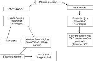 Algoritmo de actuación en el servicio de urgencias ante el paciente con infección por el VIH con pérdida de visión.