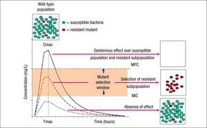 Mutant selection window (MSW) and mutant prevention concentration (MPC). Square boxes represent the bacterial population and curves the pharmacokinetics (concentration over time) of an antimicrobial agent. MSW is the concentration range in which resistant mutants can be selected and is delimited by the minimal inhibitory concentration (MIC) and the MPC. Above MPC, the selection of resistant mutant subpopulation should not be possible and the susceptible population is abolished, whereas below MIC values no effect over susceptible and resistant subpopulations is theoretically produced.