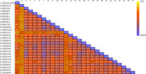 The colour similarity matrix representing the mutual relation of the different strains analyzed in MALDI-TOF ICMS. The colour bar indicates the colours associated with the different percentage of mass similarity.