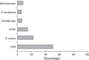 Agentes etiológicos de 2.860 episodios de bacteriemia de catéter registrados en el programa VINCat, años 2007-2010. CNS: especies coagulasa negativa de estafilococos; K/S/E: Klebsiella/Serratia/Enterobacter. De Almirante et al.28, con autorización.
