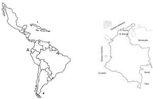 Mapa de Colombia que muestra la localización geográfica de zonas de muestreo. A. Suramérica B. Cartagena de Indias, Bolívar. C. Sincelejo, Sucre.