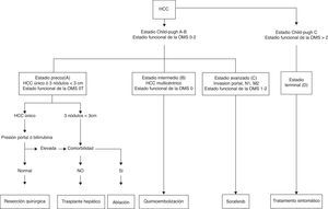 Esquema de tratamiento del hepatocarcinoma de acuerdo a la clasificación BCLC.