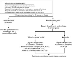 Algoritmo para el estudio de hematuria en el paciente con infección por el VIH.