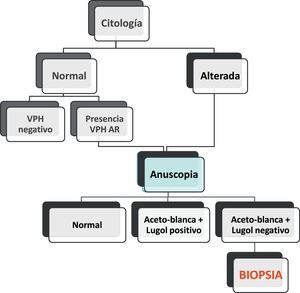 Algoritmo para la elección de la anoscopia y biopsia.