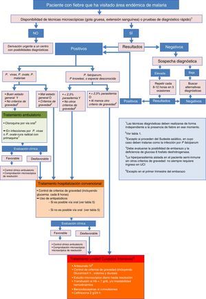 Algoritmo de diagnóstico y tratamiento de la malaria importada en España.