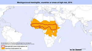 Meningitis meningocócica. Países o áreas endémicas (2014). Fuente: OMS, 20155.