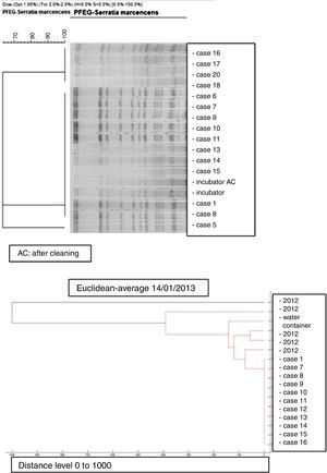 PFGE analysis of 17 Serratia marcescens strains including outbreak cases and incubator strains (before and after cleaning) and the dendrogram of the proteins profiles created by mass-spectrometry analysis of 18 strains of Serratia marcescens (including 11 outbreak cases – one strain per patient, two environmental samples and five clinical isolates of the year 2012. Correlation distance measure with the average linkage Algorithm. Maldi-TOFF. Bruker™.