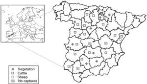 Sampling areas.