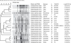 Principales patrones de PFGE en los 9 serovares predominantes de Salmonella spp. en Colombia. Se muestra el dendrograma generado con el algoritmo UPGMA, utilizando el coeficiente de Dice con 1,5% de tolerancia. Los patrones de PFGE son nombrados de acuerdo con los parámetros establecidos previamente por la Red PulseNet13. CO: Colombia, IN: Instituto Nacional de Salud, 2 números que indican el año de recuperación del aislamiento, 3 letras en mayúscula que identifican cada serovar, 3 caracteres alfanuméricos que corresponden a la enzima de restricción (para XbaI es X01) y por último 4 números que corresponden al patrón asignado consecutivamente. Los patrones marcados con asterisco son los que comparten 100% de similitud con los patrones de la BDR. En la siguiente columna se indica el serovar, seguido del número de aislamientos con el respectivo patrón de PFGE (n). La columna Perfil R muestra el perfil de resistencia predominante en cada patrón de PFGE. La columna n Perfil R (%) muestra el número de aislamientos con el perfil de resistencia predominante, y el porcentaje se calculó n Perfil R/n.