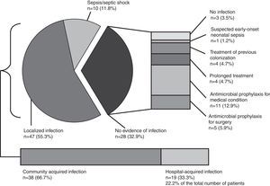 Severity of infection and infection source. Distribution of the diverse causes of infection along with the severity of the infection. In the absence of infection, other factors that condition antimicrobial use (antimicrobial prophylaxis, suspected infection and previous colonisation) are detailed (n=number of patients, prevalence in %).