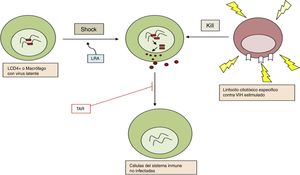 Esquema de la estrategia «shock and kill» para la eliminación del reservorio celular latente del VIH. LRA: agentes reactivadores de la latencia; TAR: tratamiento antirretroviral.