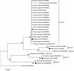 Phylogenetic tree illustrating the evolutionary relationship of the IbA12G3 sequence generated in the present study (represented by a red filled circle) to other C. hominis family Ib sequences previously identified in Spain and other countries at the GP60 locus inferred by a neighbour-joining analysis. Red empty circles represent all human (n=5) and non-human (n=1) primate IbA12G3 sequences reported globally to date. Black filled circles indicate reference sequences from GenBank®. Bootstrapping values over 50% from 1.000 replicates are shown at the branch points. The evolutionary distances were computed using the Tamura 3-parameter method. The rate variation among sites was modelled with a gamma distribution (shape parameter=1). C. parvum was used as outgroup taxa.
