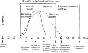 Evolución de los síntomas y manifestaciones clínicas en enfermedades herpéticas. Modificado de Garland y Steben13.