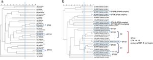 Dendrograms illustrating the PFGE profiles of 33 non-ESBL-MDR E. coli isolates (a) and 33 ESBL-MDR E. coli isolates (b).