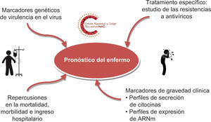 Factores del virus de la gripe y del huésped que repercuten en el pronóstico del paciente.