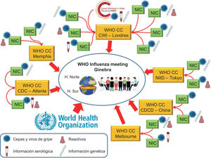 Flujo de trabajo y de la información del diagnóstico epidemiológico y de vigilancia por parte de los integrantes del GISRS para la selección de cepas de la vacuna antigripalde la siguiente temporada. CDC: Center for Disease Control and Prevention; CDCD: Chinese Center for Disease Control and Prevention; CWI: Crick Worldwide Institute; NIC: National Influenza Centre; NIID: National Institute of Infectious Diseases of Japan; WHO-CC: WHO Collaboration Center.