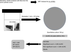 Laboratory procedure for NCs’ processing and interpretation of cultures.