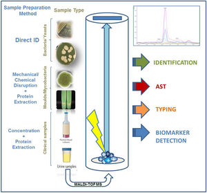 Sample types that can be analyzed by MALDI-TOF and the processing method recommended.