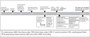 Time-line of clinical evolution and medical interventions of the case.