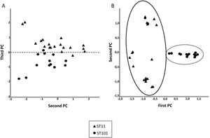 Two-dimension representation of PCA analysis results of ST11 (triangle) and ST101 (circle). (A) All peaks were used. (B) Twenty-one peaks were used.
