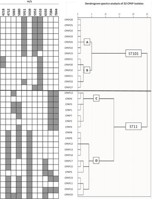 Dendrogram produced by SPSS software spectra analysis of CPKP isolates. Analysis of 32 CPKP isolates (19 ST11 and 13 ST101) using 21 peaks were represented with the characteristics peaks of each ST.