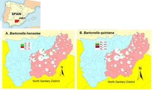 Titles obtained for B. henselae and B. quintana in the municipalities of North Sanitary District of Jaén considered in this study.