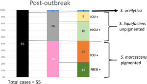 Graphic description of the Serratia spp. post-outbreak situation in the neonatal unit. NICU: neonatal intensive care unit; ICU: intermediate care unit.