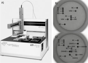 Plataforma HS24 y chip AMR Direct Flow Chip®. A) Plataforma automatizada HS24 para el procesamiento de la hibridación reversa y análisis de la imagen. B) Resultados para una cepa de Escherichia coli productora de carbapenemasas. C) Detección de microorganismos MDR en un hisopo rectal positivo que albergaba Klebsiella pneumoniaeblaOXA-48/blaSHV y Acinetobacter baumanniiblaOXA-51. Todas las sondas se disponen por duplicado en la matriz del chip y un resultado se considera positivo si se detectan ambas señales. Sondas positivas detectadas: control de biotina (BC); control exógeno de amplificación (IC), para la detección de ADN sintético incluido en el mix de la PCR; control endógeno de amplificación (BG), para la detección del gen beta-globina humano; blaVIM (VIM); blaSHV (SHV); blaOXA-48 (OXA48) y blaOXA-51 (OXA51). La imagen está ampliada ×5 en comparación con el tamaño real del chip.