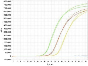 Comparación de las curvas de amplificación del gen E por la estrategia de PCR monoplex y dúplex. Las curvas del mismo color representan los resultados obtenidos por las dos metodologías. Se presentan como ejemplo, tres pacientes positivos (curvas verde, roja, amarilla) y un paciente negativo (azul).