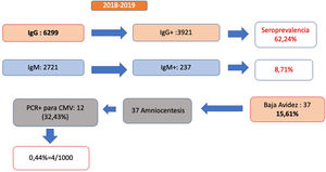 Cribado de infección por CMV realizado en gestantes en nuestro centro entre 2018 y 2019.