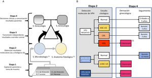 A) Flujograma de trabajo propuesto. B) Algoritmo del protocolo de referencia en este estudio, CRYGEN 16/18 para el cribado primario de VPH en cáncer de cérvix. a El análisis molecular se realizó en el Servicio de Microbiología del Hospital Ramón y Cajal. b El estudio citológico se realizó en el Servicio de Anatomía Patológica del Hospital Clínico San Carlos. c El análisis de las biopsias de las pacientes derivadas a colposcopia se realizó en los servicios de anatomía patológica del Hospital Clínico San Carlos y del Hospital Infanta Leonor.