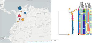 Phylogenetic tree of isolates under study. Thirty-one isolates and two reference genomes, M01-240149 (ST-41) and Alpha (ST-136), are presented. Isolates belonging to the major clade are represented in blue, isolates of minor clade are presented in red, and others are presented in orange.