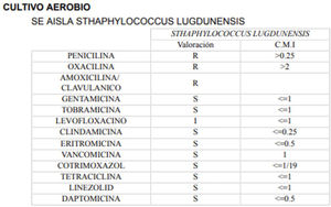 Antibiograma del asilado de Staphylococcuslugdunensis.