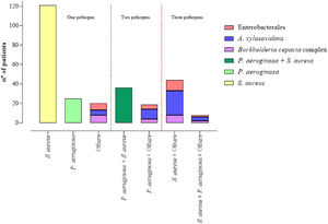 Co-colonization patterns obtained by point culture.