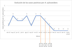 Evolución de los casos positivos por Achromobacter xylosoxidans. 1) Aplicación de acciones de mejora inmediatas. 2) Inicio de aplicación de acciones de mejora definitivas. 3) Final de la aplicación de las acciones de mejora definitivas.