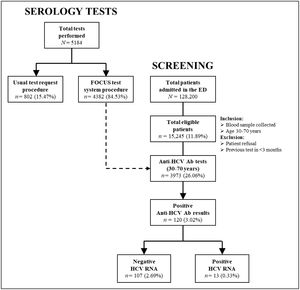 Flowchart showing the number of serology tests performed between June 2023 and May 2024, total number of patients seen in the ED, patients eligible for opportunistic screening, and the results of the anti-HCV Ab and HCV RNA tests. Ab: antibodies; ED: emergency department; HCV: hepatitis C virus.