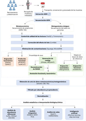 Esquema del flujo de trabajo relativo al análisis y la gestión de datos del microbioma intestinal y etapas donde la estandarización es necesaria. Elaboración propia a partir de recursos gráficos disponibles en BioRender.