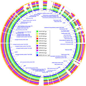 Comparison of pNOC-22-mcr-1 with the 10 closest plasmids retrieved from BLAST (≥90% identity).