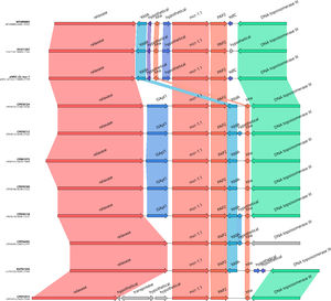 Comparison of the mcr-1 segment of pNOC-22-mcr-1 with that of the 10 closest plasmids retrieved by BLAST. Matching genes are shown with the same color.