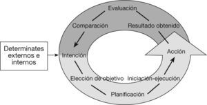 Modelo de la organización funcional de las conductas dirigidas por objetivo. Modificado de Brown et al48.