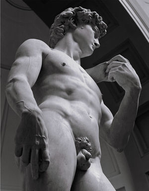 David de Miguel Ángel, Galería de la Academia de Florencia. Fuente: Magherini G19. Fotografía de Luciana Majoni, con permiso.