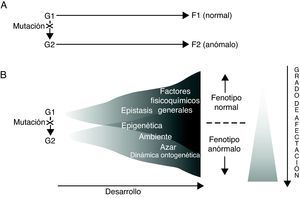 Dos modos alternativos de concebir las relaciones genotipo (G)-fenotipo (F) en relación con los trastornos del lenguaje. Adaptado de Sholtis y Weiss72.