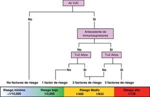 Estratificación del riesgo aproximado de LMP según el número de factores de riesgo conocidos en la actualidad (AcVJC: anticuerpos contra el virus JC; T: tratamiento)24.