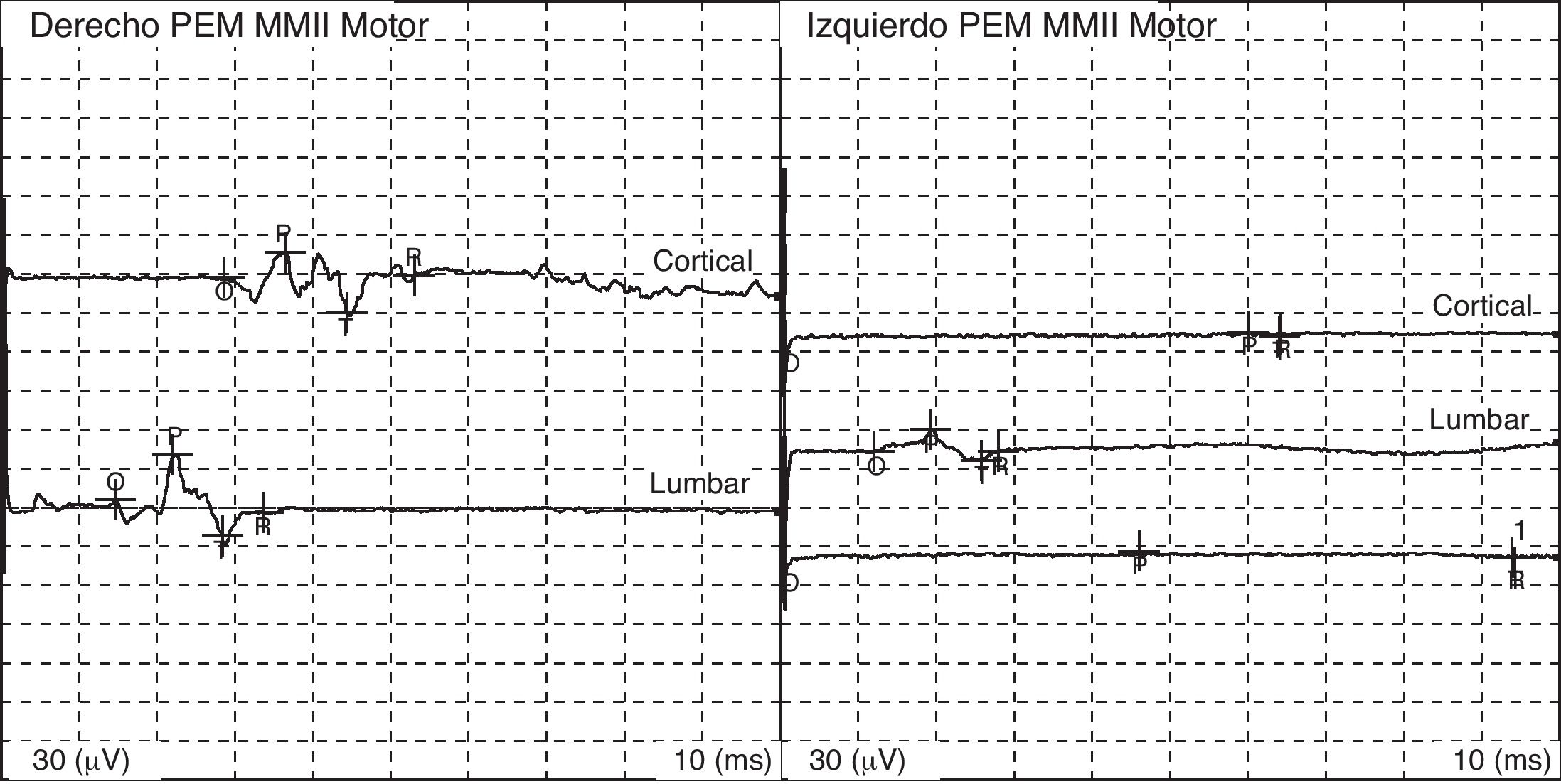 fig0015