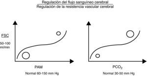 Autorregulación cerebral.