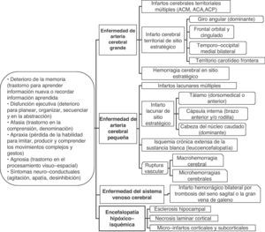 Principales manifestaciones clínicas y grupos patológicos de la demencia vascular. ACM: Arteria cerebral media; ACA: Arteria cerebral anterior; ACP: Arteria cerebral posterior.